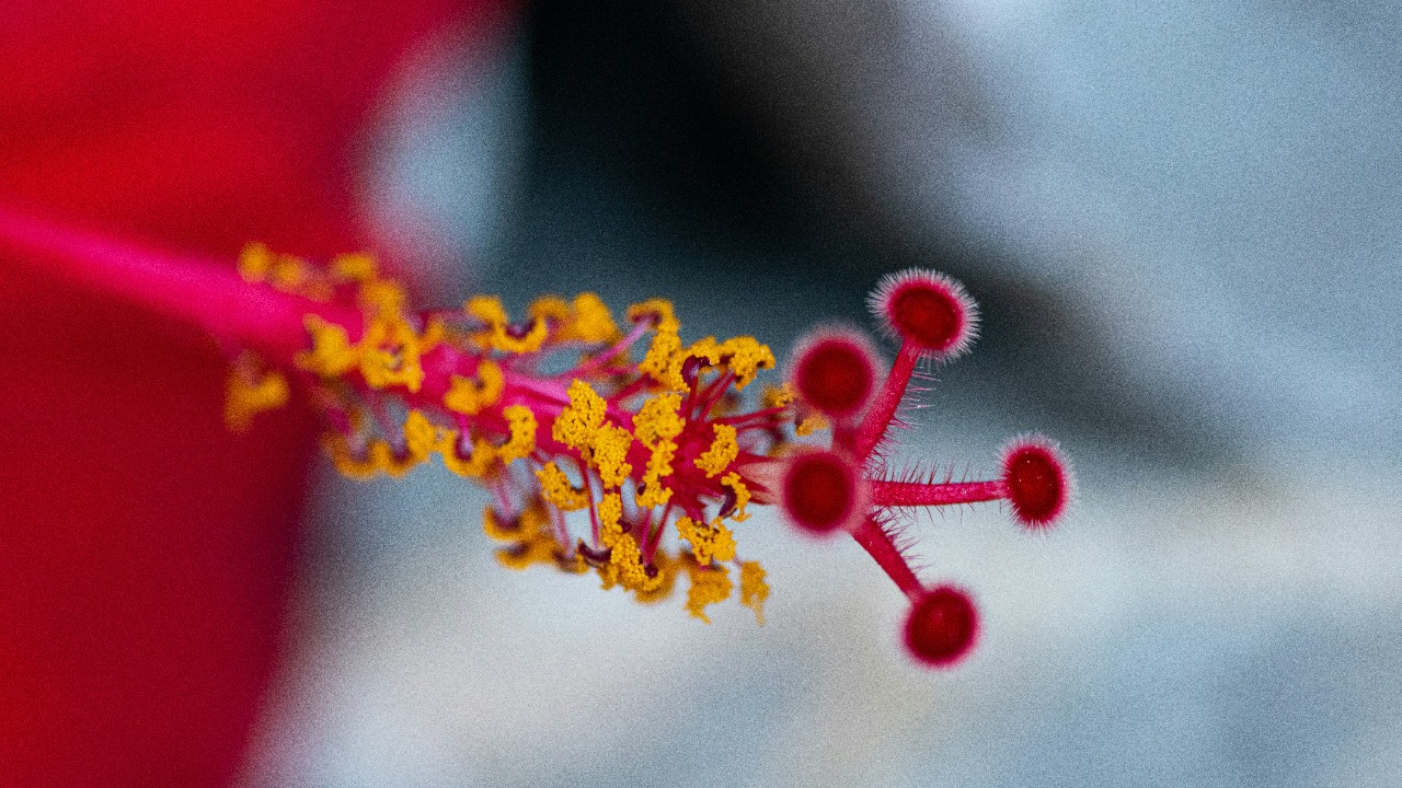 Which Proprietary Techniques Yield High-Quali